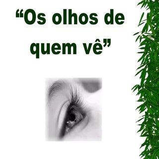 Os Olhos de Quem Vê