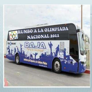 Olimpiada 2011