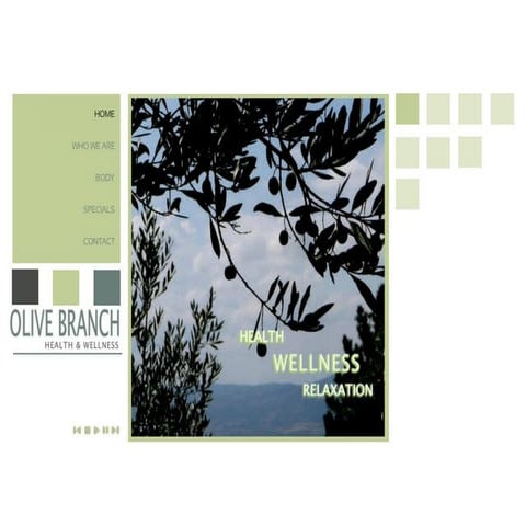 Olive Branch Health & Wellness 