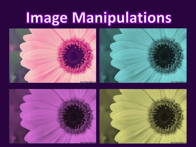 Olivia westfall   power point effects project