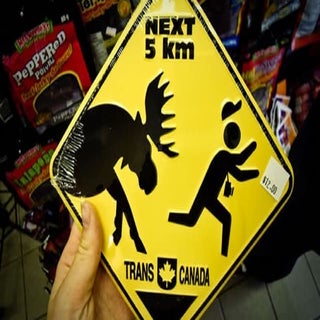 Is Linux/Moose endangered or extinct? 