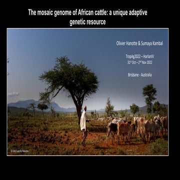 The mosaic genome of African cattle: A unique adaptive genetic resource