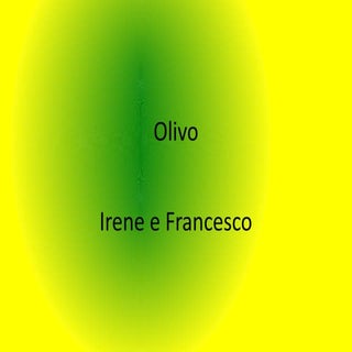 Olivo