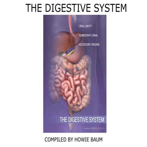 The Digestive System (1).pdf