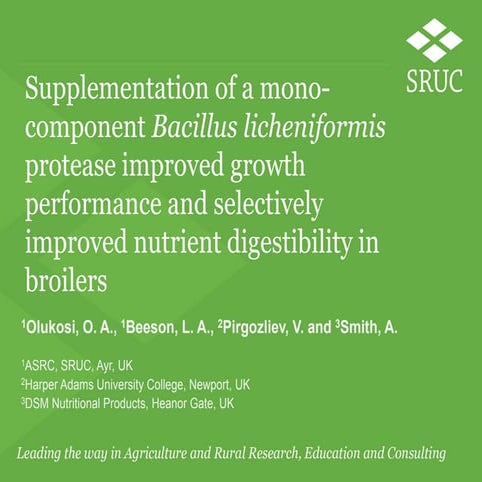 Supplementation of protease improved growth & nutrient digestibility in broilers