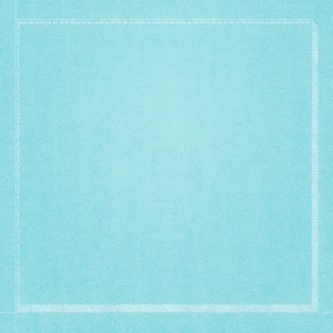 Ella's Olympic presentation