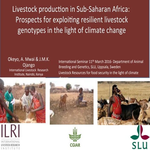 Livestock production in Sub-Saharan Africa: Prospects for exploiting resilien...