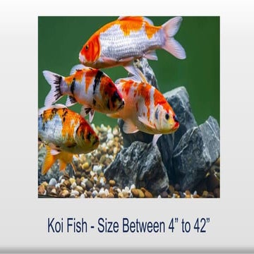 OMAC Conference fdgdf zdfgaegzdg a 2024f