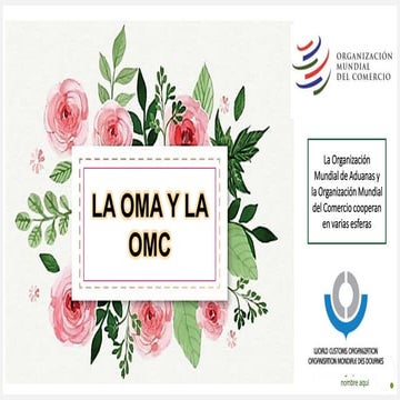 Organizacion Mundial de Aduanas | PDF