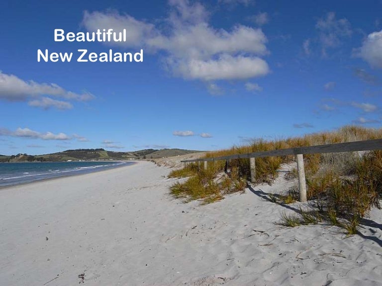 Omaha Beach New Zealand
