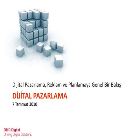 Dijital Dunya ve Turkiye 2010 - Oya Ones Yasayan