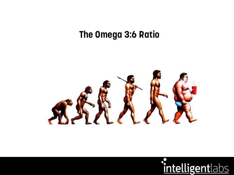 Why Too Much Omega 6 is Destroying Our Health