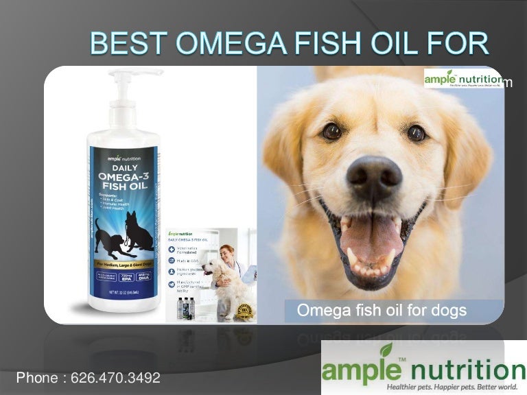 best omega 3 oil for dogs