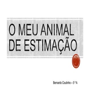 Respeito pelos animais - O meu anim...