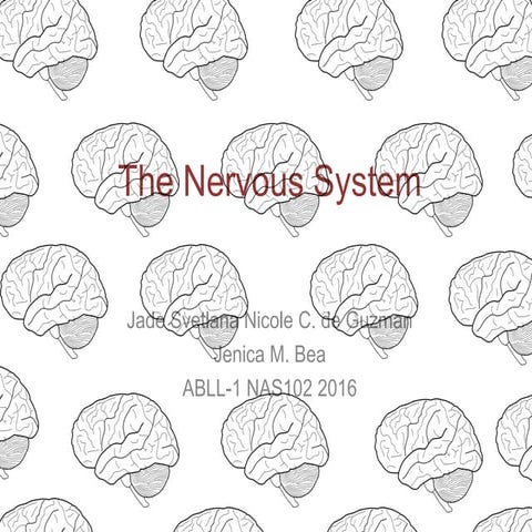 Nervous System