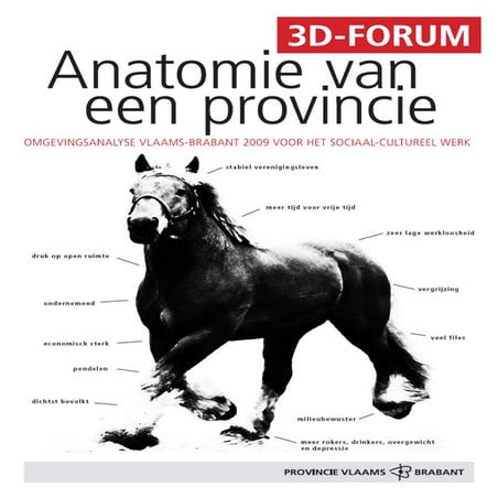 Anatomie van een provincie: omgevingsanalyse Vlaams-Brabant 2009 voor het soc...
