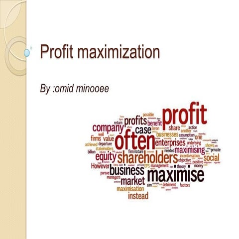 profit macimization