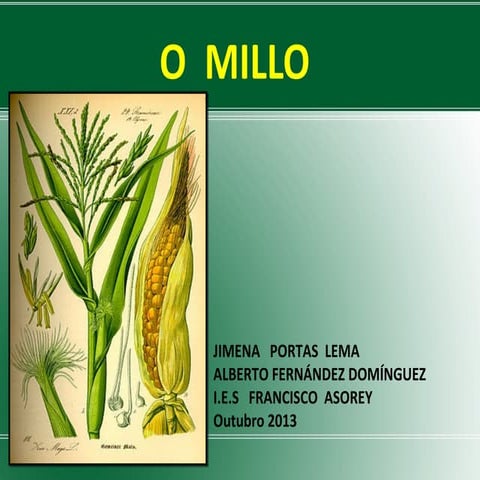 O millo
