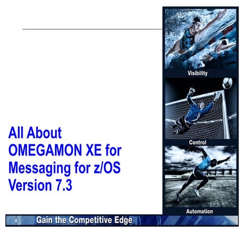 OMEGAMON XE for Messaging V730 Long client presentation