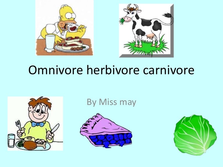 Omnivore herbivore carnivore year 1