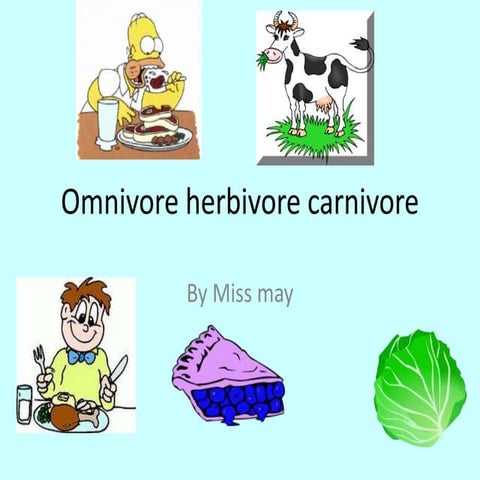 Omnivore herbivore carnivore year 1