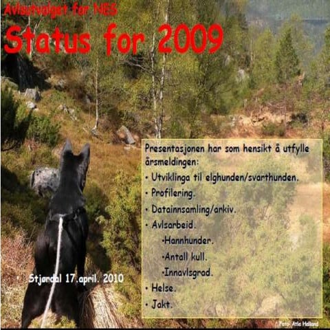 Om norsk sort elghund (nes) fra avlsutvalget