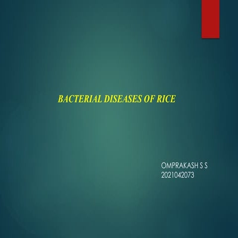 Bacterial disease of rice and their management