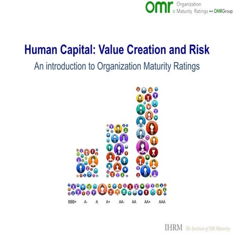 Organization Maturity Rating - human capital, value & risk