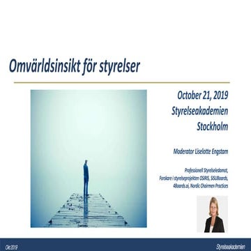 Omvarldsinsikt styrak 191021