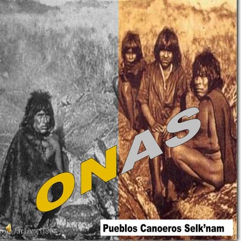 Onas PPA C | PPT