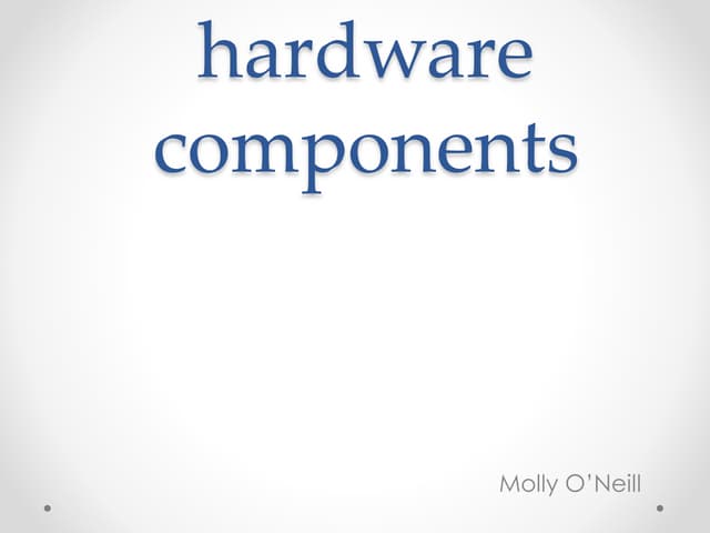 P1 the function of main hardware components