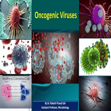 Oncogenic Viruses