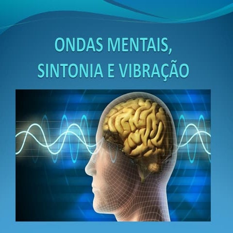 Palestra - Denise Ferreira