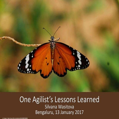 One Agilist's Lessons Learned