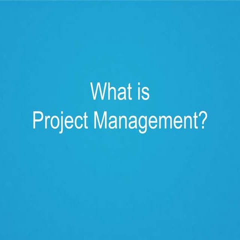 Infographic Slide: What is Project Management?