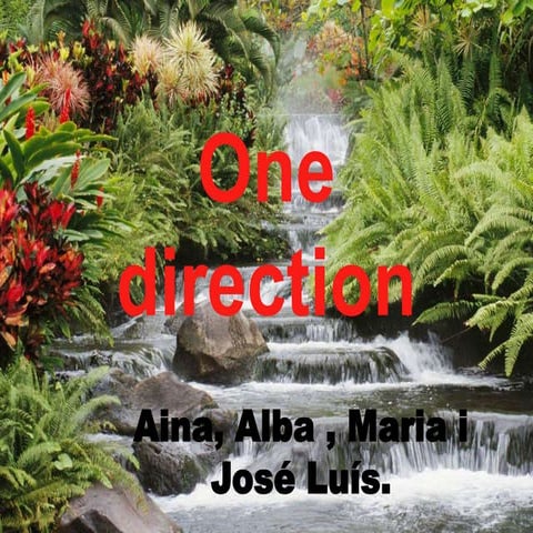 ONE DIRECTION | ODP