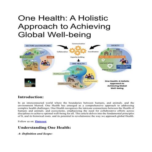 One Health: A Holistic Approach to Achieving Global Well-being
