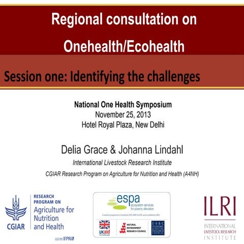 Regional consultation on One Health/Ecohealth: Identifying the challenges