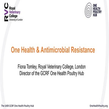 One Health and AMR