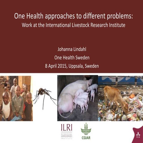 One Health approaches to different problems: Work at the International Livest...
