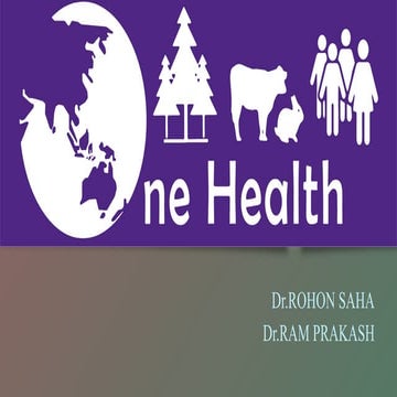 one health PowerPoint presentation .pptx