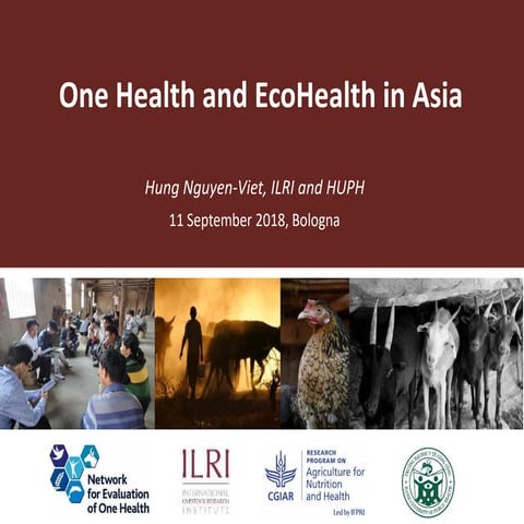 One Health and EcoHealth in Asia