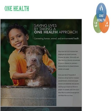 One health | PPTX