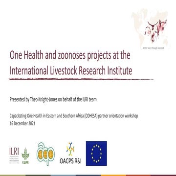 One Health and zoonoses projects at the International Livestock Research Inst...