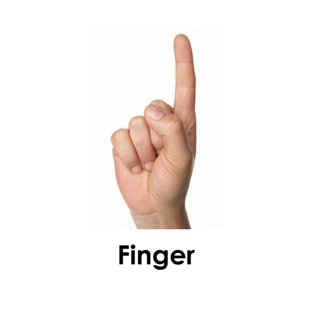 One little finger | PDF
