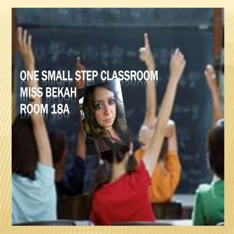 One small step classroom final