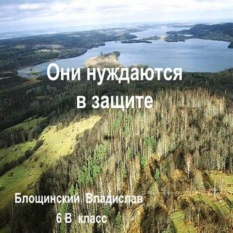 Oni nushdautsa v zashite