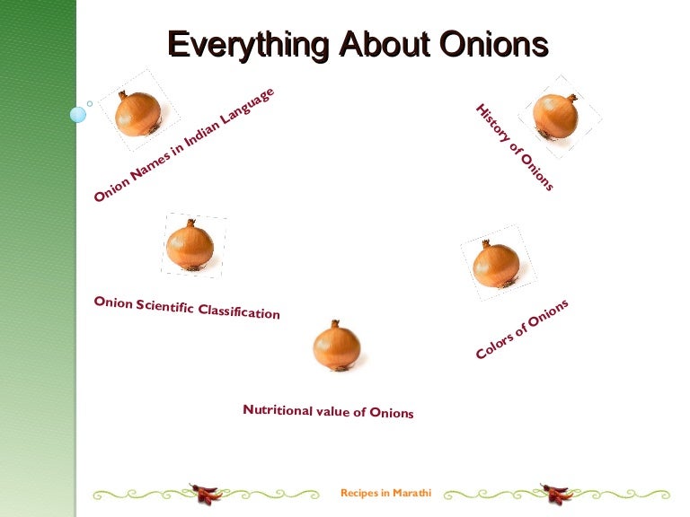 Onions Names in Indian Languages, History, Scientific Classification…