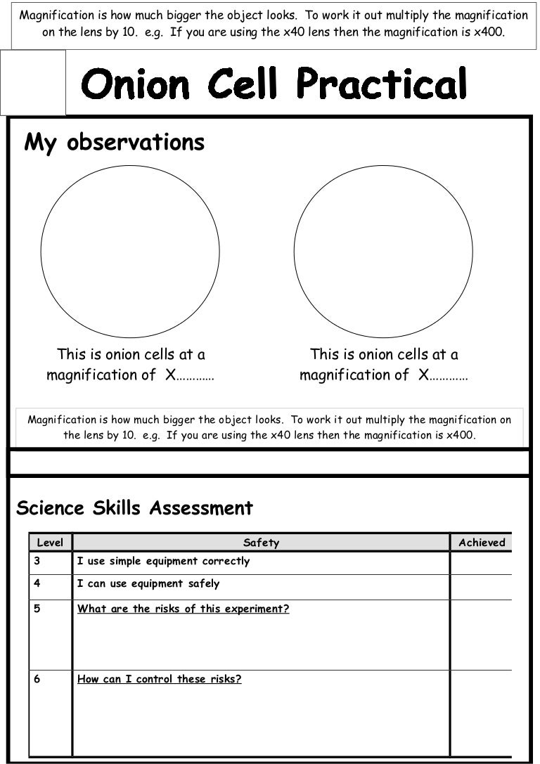 label-a-cell-worksheet