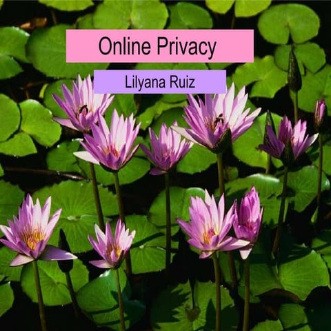 Online Privacy Lilyana Ruiz